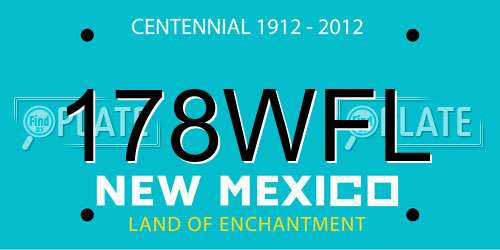 178WFL New Mexico License Plate