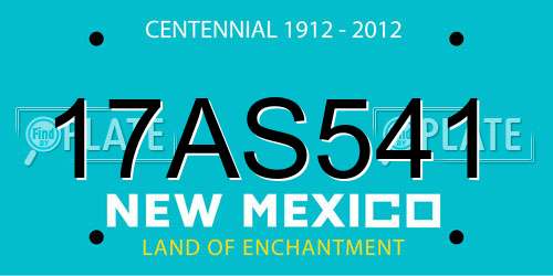 17AS541 New Mexico License Plate