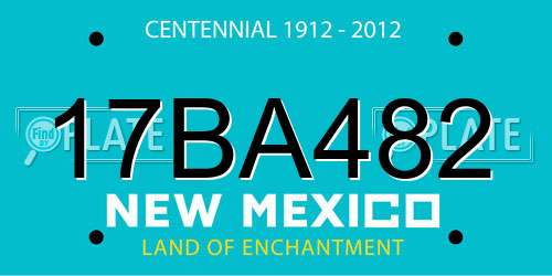 17BA482 New Mexico License Plate