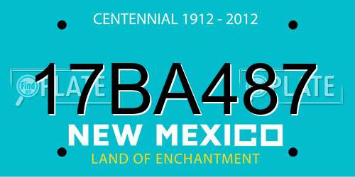 17BA487 New Mexico License Plate