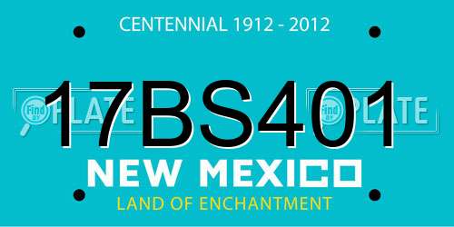 17BS401 New Mexico License Plate