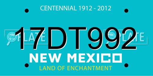 17DT992 New Mexico License Plate