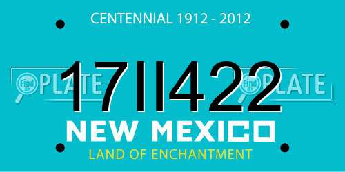 17II422 New Mexico License Plate