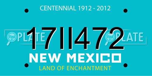 17II472 New Mexico License Plate