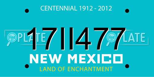 17II477 New Mexico License Plate