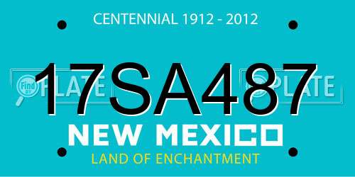 17SA487 New Mexico License Plate