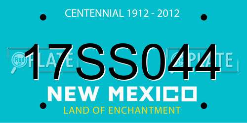 17SS044 New Mexico License Plate