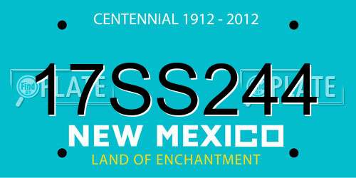 17SS244 New Mexico License Plate