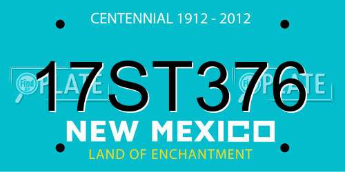 17ST376 New Mexico License Plate