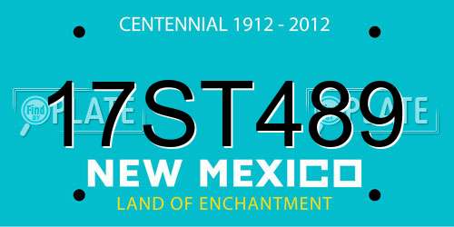 17ST489 New Mexico License Plate