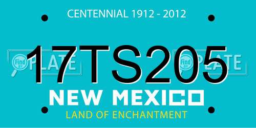 17TS205 New Mexico License Plate