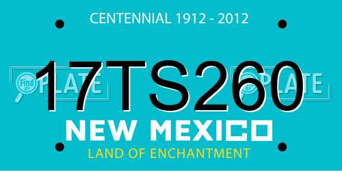 17TS260 New Mexico License Plate