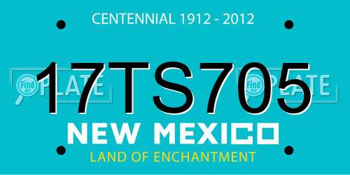 17TS705 New Mexico License Plate