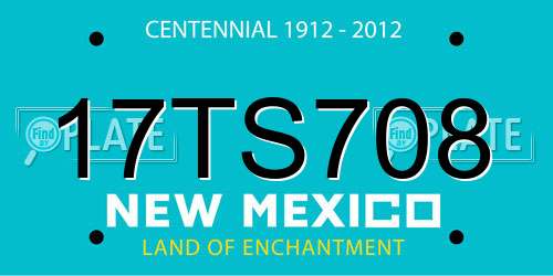 17TS708 New Mexico License Plate