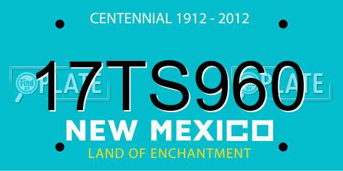 17TS960 New Mexico License Plate