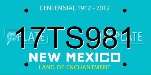 17TS981 New Mexico License Plate