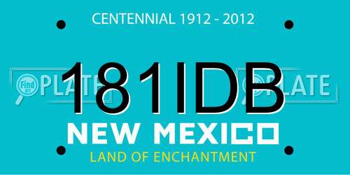 181IDB New Mexico License Plate