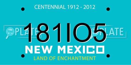 181IO5 New Mexico License Plate