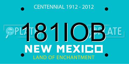 181IOB New Mexico License Plate