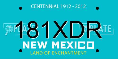 181XDR New Mexico License Plate