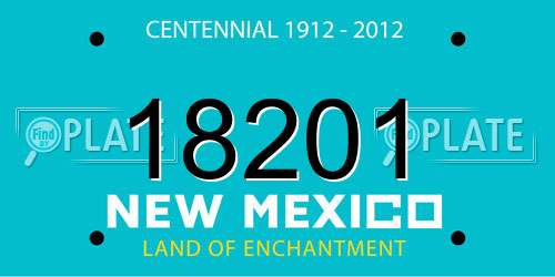 18201 New Mexico License Plate
