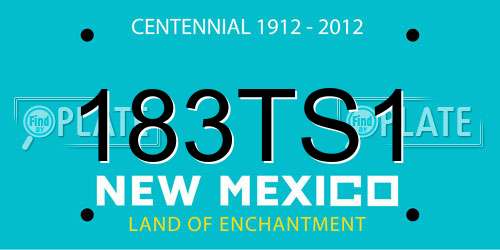 183TS1 New Mexico License Plate