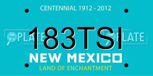 183TSI New Mexico License Plate