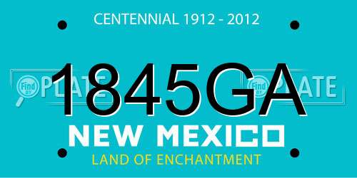 1845GA New Mexico License Plate