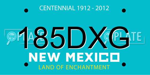 185DXG New Mexico License Plate