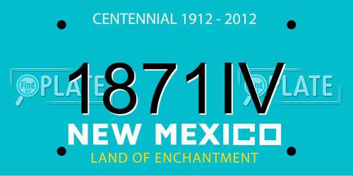 1871IV New Mexico License Plate
