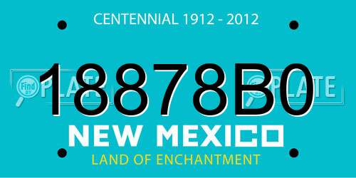 18878B0 New Mexico License Plate