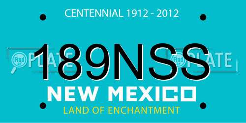 189NSS New Mexico License Plate