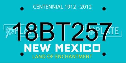 18BT257 New Mexico License Plate