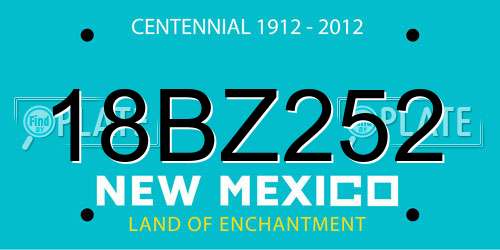 18BZ252 New Mexico License Plate