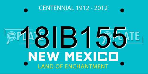 18IB155 New Mexico License Plate