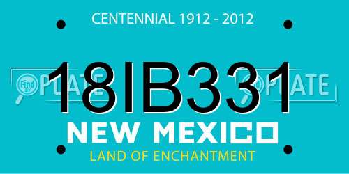 18IB331 New Mexico License Plate