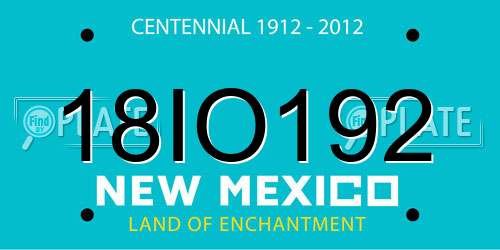 18IO192 New Mexico License Plate
