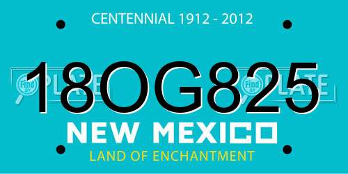 18OG825 New Mexico License Plate