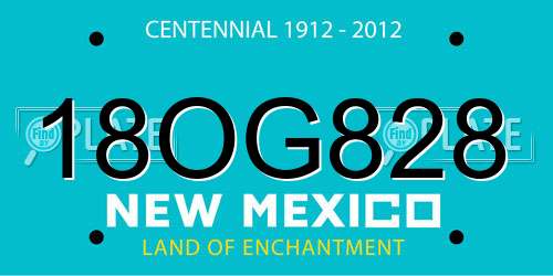 18OG828 New Mexico License Plate