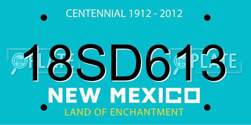 18SD613 New Mexico License Plate