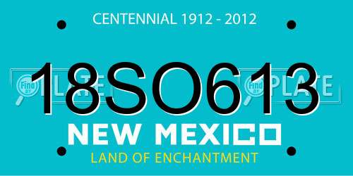 18SO613 New Mexico License Plate