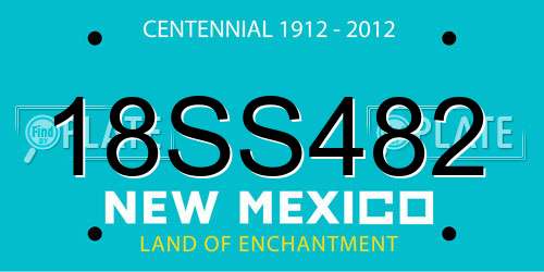 18SS482 New Mexico License Plate