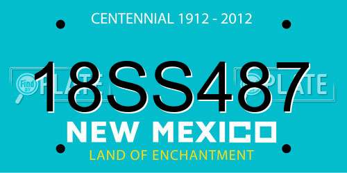 18SS487 New Mexico License Plate