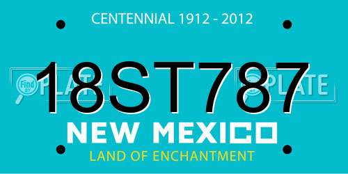 18ST787 New Mexico License Plate