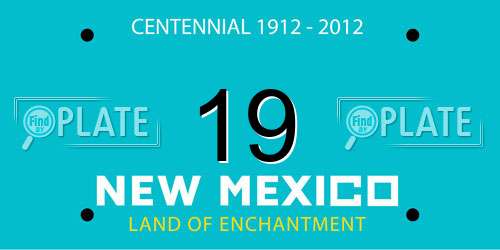 19 New Mexico License Plate