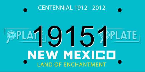 19151 New Mexico License Plate