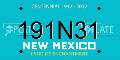 191N31 New Mexico License Plate