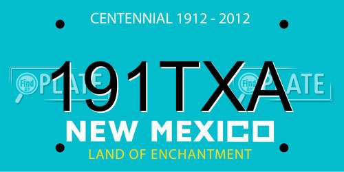 191TXA New Mexico License Plate
