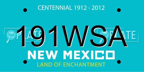 191WSA New Mexico License Plate