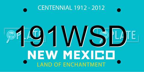 191WSD New Mexico License Plate